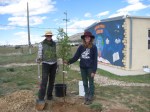 Tree-Planting-1