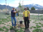 Tree-planting-2