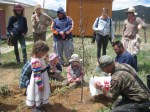 Tree-planting-5