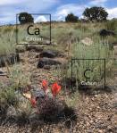 elements-of-community-crop-web