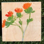 GenevieveDeVellis_03_IMG_9921