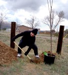 7Mistyplantingatreeinspittingsnow2